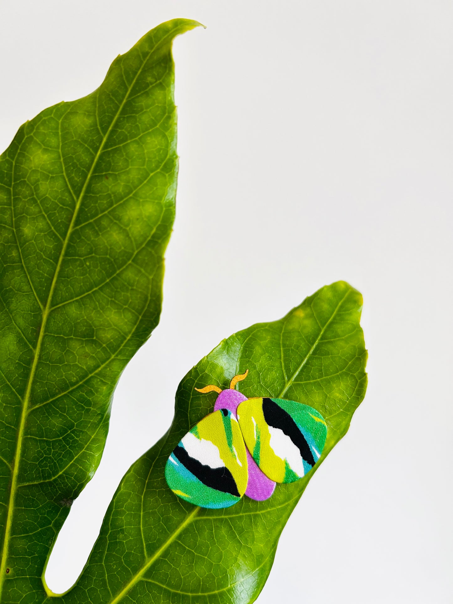 Moth Pin Brooch