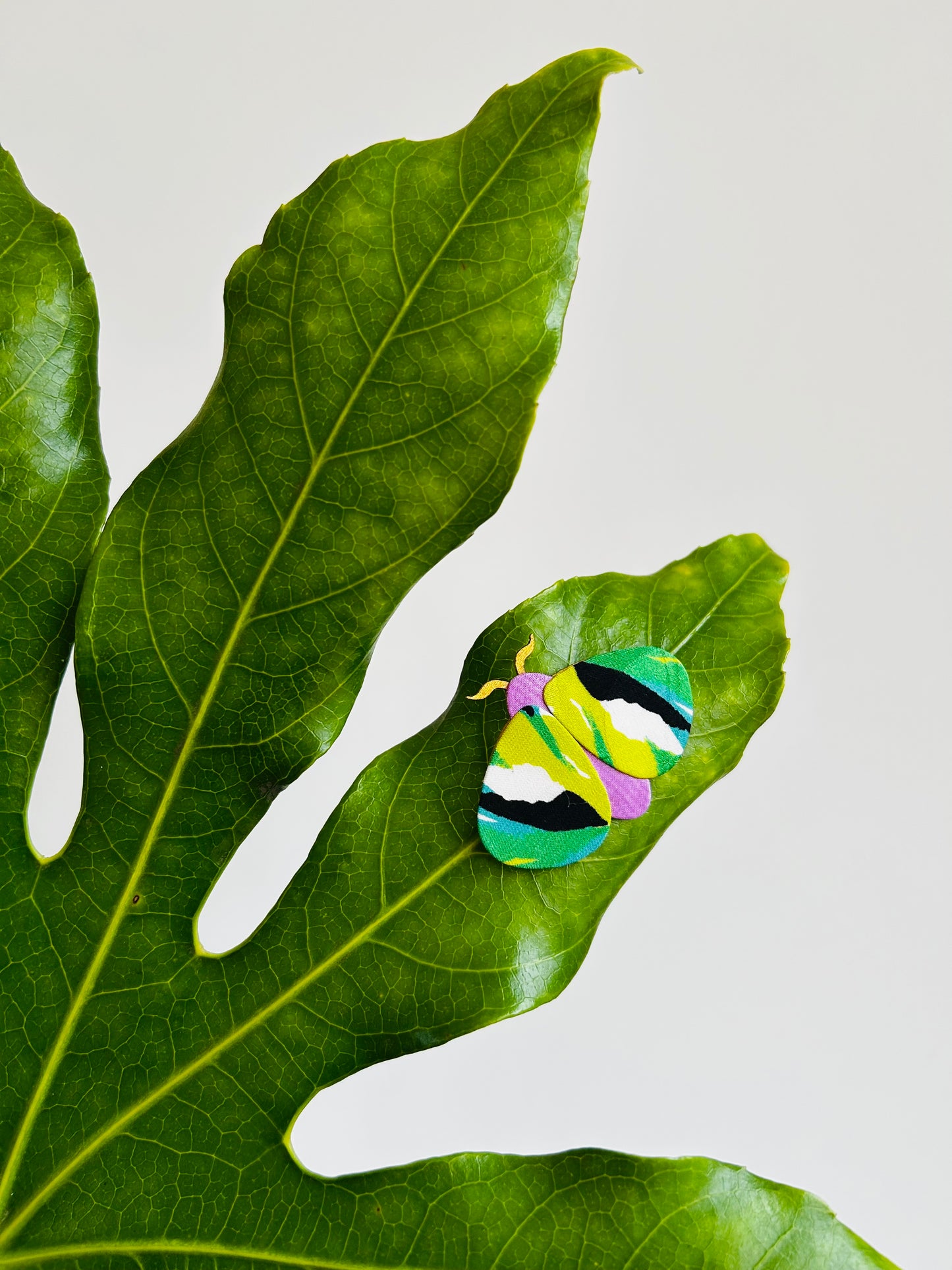 Moth Pin Brooch