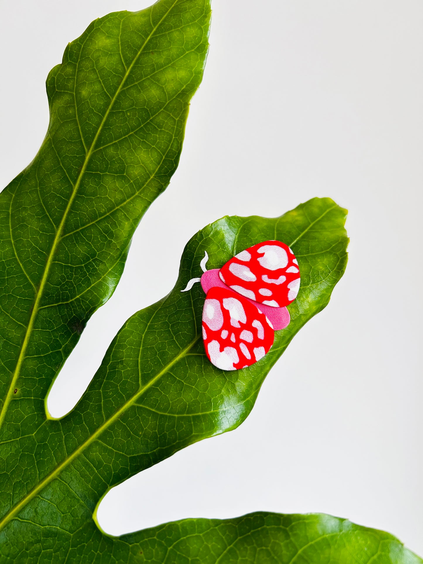 Moth Pin Brooch